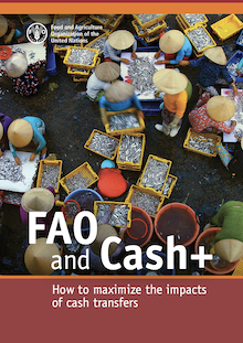 FAO and Cash+: How to maximize the impacts of cash transfers